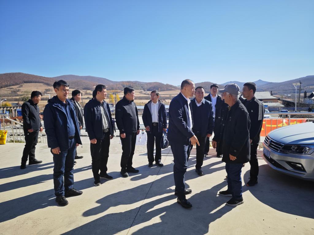 领导们同行到达仲坪村 领导们同行到达仲坪村